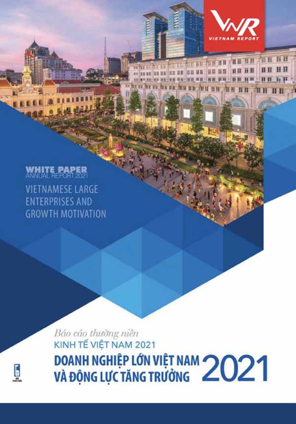 VietNam Report 2021